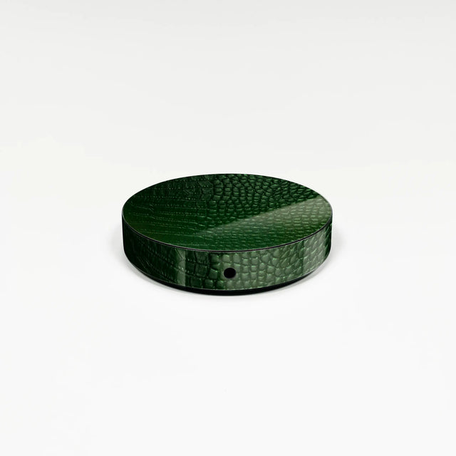 Reptile for covering Free Box Pop TV