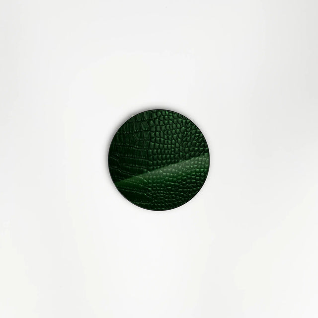 Reptile for covering Free Box Pop TV